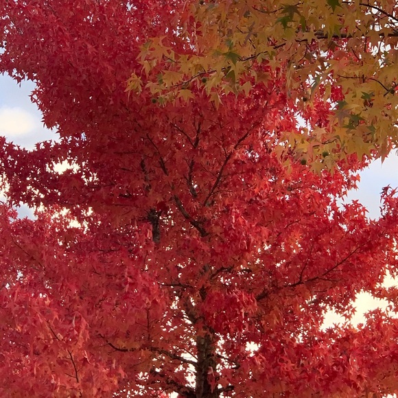 Meet your Posher, Cory - Picture 1 of 1